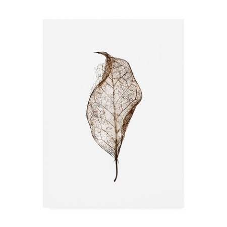 Design Fabrikken 'Leaf Fabrikken' Canvas Art,24x32